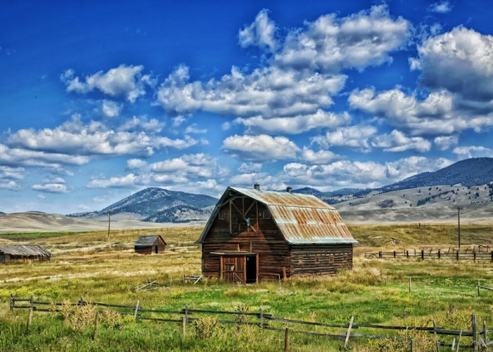 #12. Montana